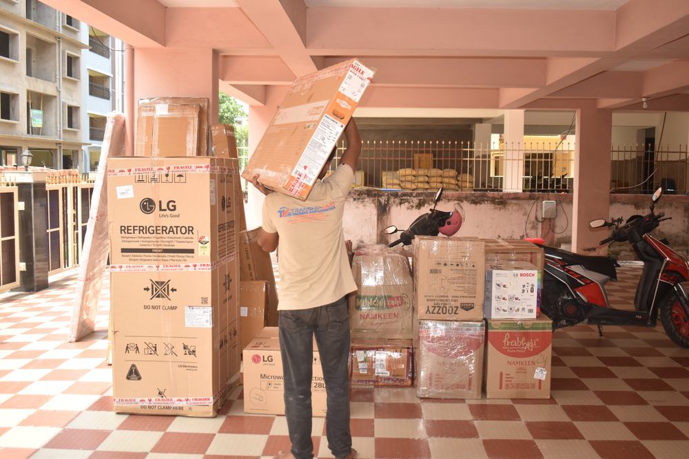 Movers carrying boxes in a bright home