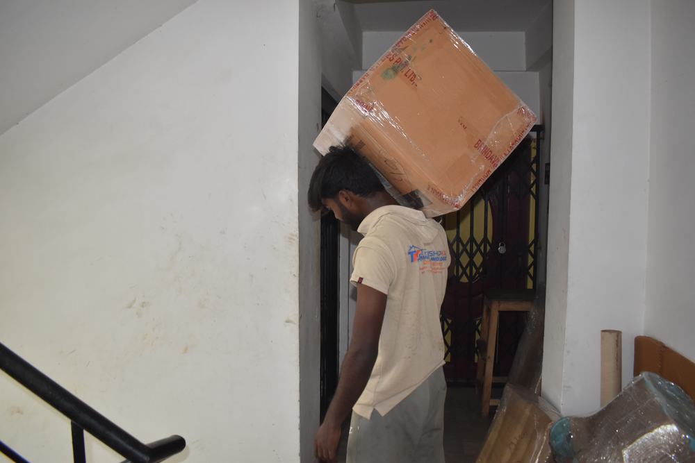 Local and domestic shifting